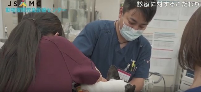 夜間緊急診療科